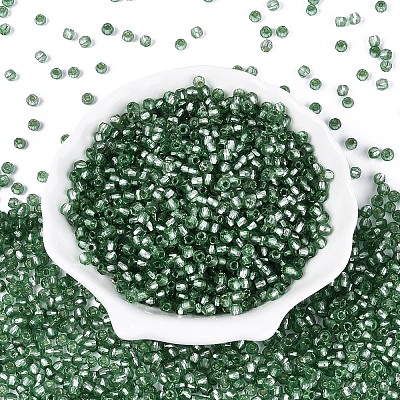 Silver Lined Glass Seed Beads SEED-T007-18A-06-1