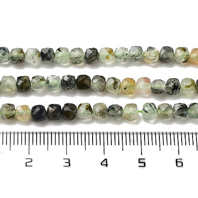 Natural Prehnite Beads Strands G-B088-E16-04-1