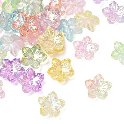 Acrylic Bead Caps AC-CBA81FF-10-1