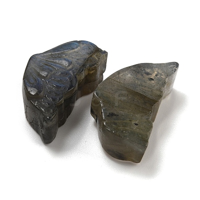 Natural Labradorite Carved Cabochons G-C152-03B-1