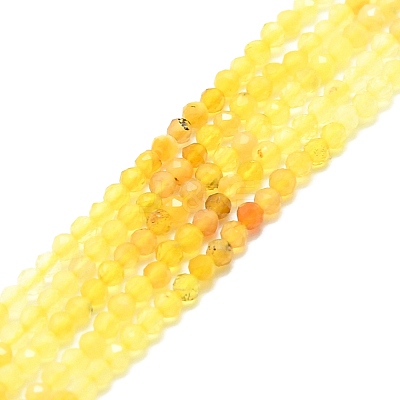 Natural Yellow Opal Beads Strands G-P457-A01-18-1