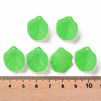 Transparent Frosted Acrylic Pendants MACR-S371-01A-734-1