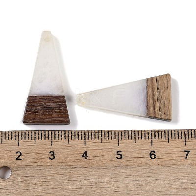 Resin & Wood Pendants WOOD-F015-03H-1