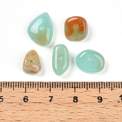 Transparent Acrylic Beads TACR-T028-39G-1