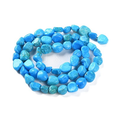 Natural Howlite Turquoise Beads Strands G-P497-01C-55-1