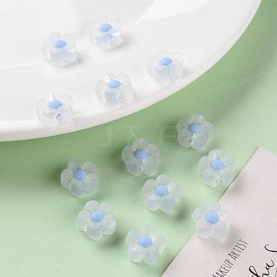 Transparent Acrylic Beads TACR-S152-06C-SS2113-1