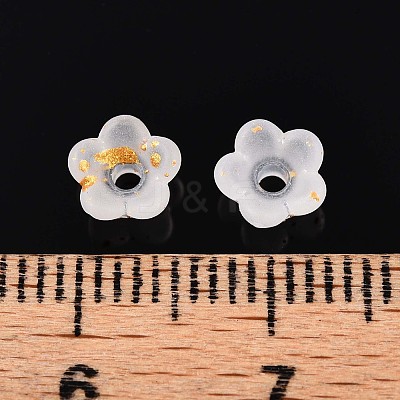 Frosted Transparent Acrylic Beads X-OACR-N137-72A-1