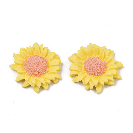 Opaque Resin Cabochons LS-CRES-T022-17F-1