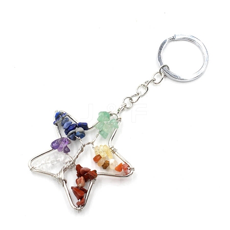 Gemstone Keychains PW-WG204B5-03-1