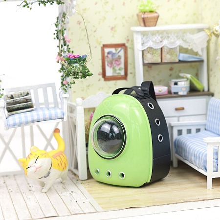 Plastic Mini Pet Carrier Backpack Model PW-WGEACFE-01-1