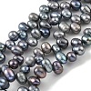 Dyed Natural Cultured Freshwater Pearl Beads Strands PEAR-A006-28A-2