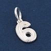 Number Series 925 Sterling Silver Charms STER-Q002-01G-2