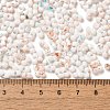 Baking Paint Glass Seed Beads SEED-F005-01A-04-4