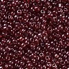 Glass Seed Beads SEED-US0003-3mm-105B-2
