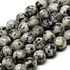 Natural Sesame Jasper/Kiwi Jasper Beads Strands G-Q462-52-6mm-1