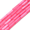 Natural Freshwater Shell Beads Strand SHEL-T017-40B-1
