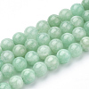 Natural Myanmar Jade/Burmese Jade Beads Strands G-T064-22-8mm-1