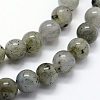 Natural Labradorite Beads Strands G-I199-15-6mm-4