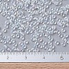 MIYUKI Round Rocailles Beads SEED-JP0008-RR0250-4