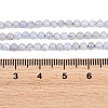 Natural Blue Lace Agate Beads Strands G-Z163-B01-3mm-5