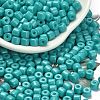 Baking Paint Pearlized Glass Seed Beads SEED-C001-04A-06-1