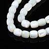 Natural Trochid Shell/Trochus Beads Strands SSHEL-N027-130B-01-3