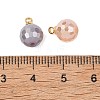 Electroplate Glass Pendants PALLOY-JF05532-01-3