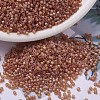 MIYUKI Delica Beads SEED-MY11-DB0866-1