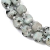 Natural Sesame Jasper/Kiwi Jasper Beads Strands G-B125-O09-01-4