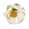 Transparent Resin Cabochons RE-CBA7537-01A-1