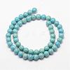 Dyed Fossil Beads G-SR14MM-FS20-2