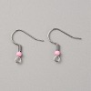 304 Stainless Steel Earring Hooks STAS-WH0027-64P-12-1