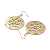 304 Stainless Steel Dangle Earrings EJEW-P271-11G-2