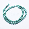 Natural Howlite Beads Strands X-G-K244-02-8mm-02-2