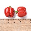 Imitation Vegetable Resin Pendants RESI-K033-03A-03-3