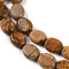 Natural Picture Jasper Beads Strands G-M420-D14-01-4