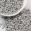 Opaque Glass Seed Beads X-SEED-K009-06B-03-1