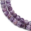 Natural Lepidolite Beads Strands G-U026-A06-8mm-4