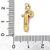 Brass Micro Pave Cubic Zirconia Pendants KK-I383-01G-03-3