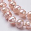 Natural Pearl Beaded Necklaces NJEW-P149-03C-3