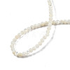 Natural White Shell Bead Strands SSHEL-N003-144A-01-4