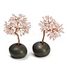 Natural Rose Quartz Chips Tree of Life Display Decorations GG-CBACC2B-01B-1