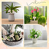 2 Bags Wooden Plant Labels DIY-CP0012-70-4
