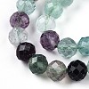 Natural Fluorite Beads Strands G-T140-19B-4