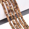 Natural Picture Jasper Beads Strands G-Q606-46A-14-1
