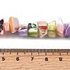 Natural Trochid Shell/Trochus Shell Beads Strands SHEL-B003-02L-4