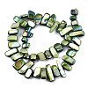 Natural Freshwater Shell Beads Strands X-SHEL-N026-123E-2