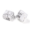 Natural Howlite Beads G-N345-02A-09-3