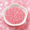 Imitation Cat Eyes Glass Seed Beads X1-SEED-H003-03D-2