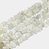 Natural White Moonstone Chip Beads Strands G-E271-112-1